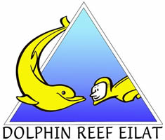 Dolphin Reef Eilat